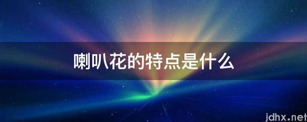 喇叭花的特点是什么图片(图1)