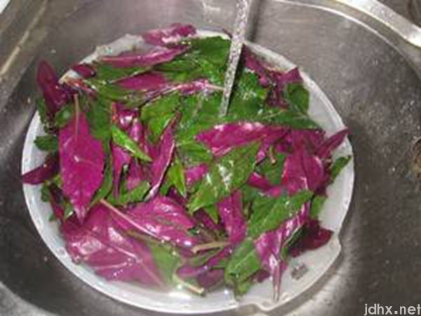 紫叶菜怎么做好吃(图2)