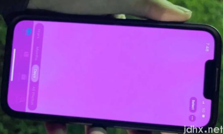iphone13粉红屏死机是怎么回事1
