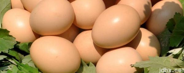 鸡蛋的最佳储存方法夏季(图1)