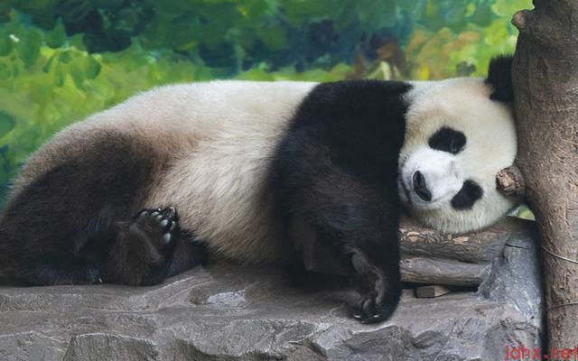 世界睡眠日3月21日熬夜患癌风险增加112%(图1)