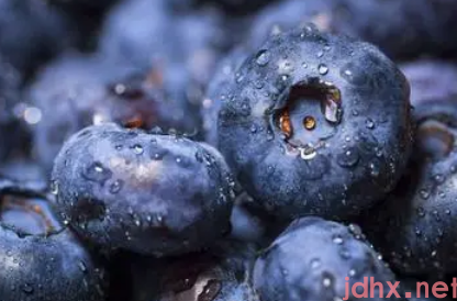 蓝莓一天吃多少为宜4