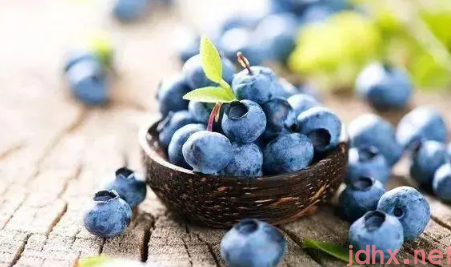 蓝莓一天吃多少为宜2