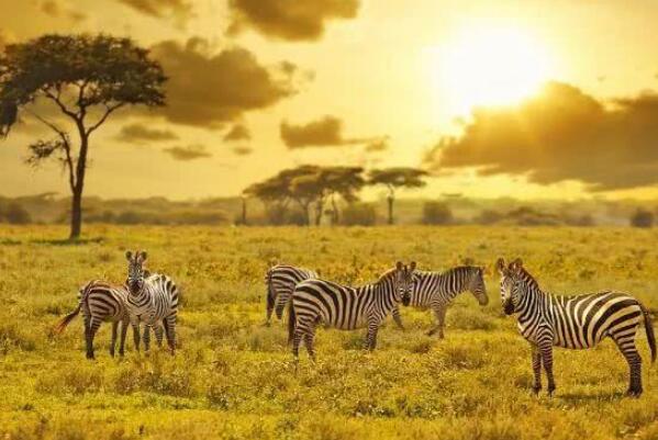 世界十大最美自然保护区 东非大裂谷上榜，第一是世界第一个国家公园(图4)