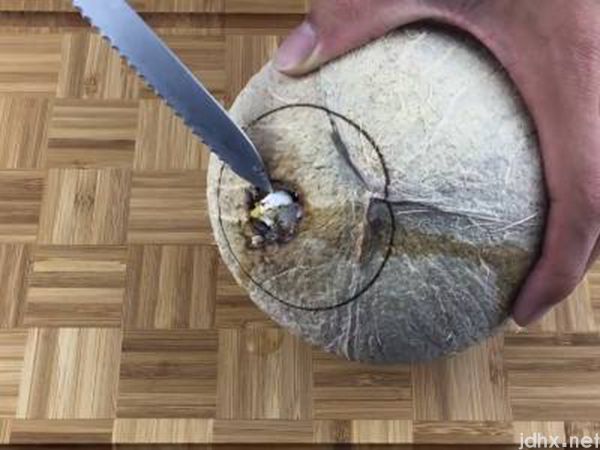 椰子怎么打开有易拉罐开口的(图3)
