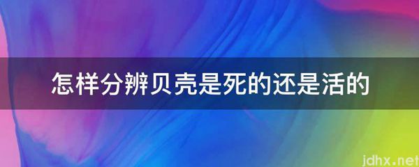 怎样分辨贝壳是死的还是活的(图1)