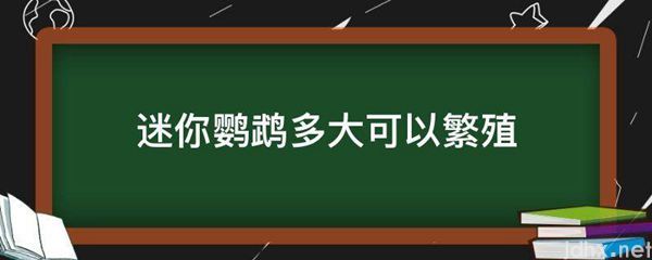 迷你鹦鹉多大可以繁殖(图1)