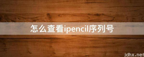 怎么查看ipencil序列号(图1)