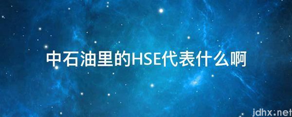 中石油里的HSE代表什么啊(图1)