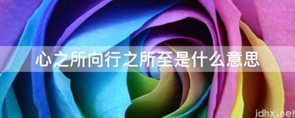 心之所向行之所至的意思是什么(图1)