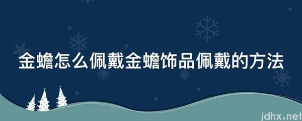 金蟾怎么佩戴金蟾饰品佩戴的方法(图1)