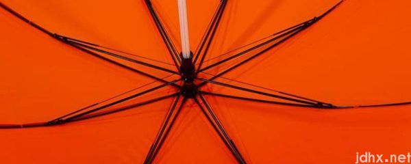 雨伞布料是什么材料(图1)