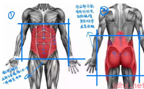 日常生活中需要收紧核心吗2