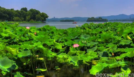 北京今年夏天怎么这么热20233