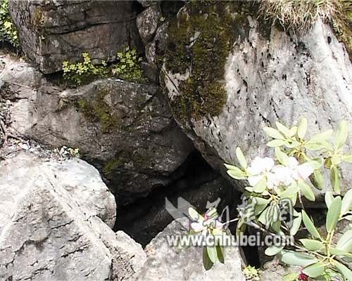 湖北五峰一石窟洞每逢酷暑便结冰 三伏结冰最厚