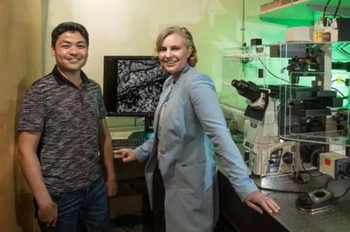  From left： Horng Ou and Clodagh O’Shea（图片来源：Salk Institute）